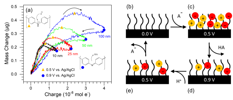 Pulsed electrodeposition of thin film polyaniline