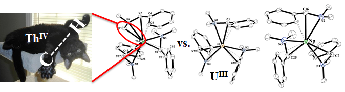 Actinide Chemistry