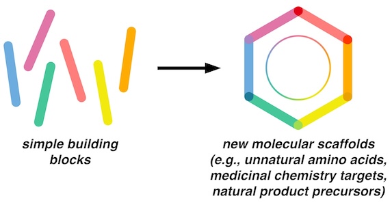 Synthesis of New Molecular Scaffolds
