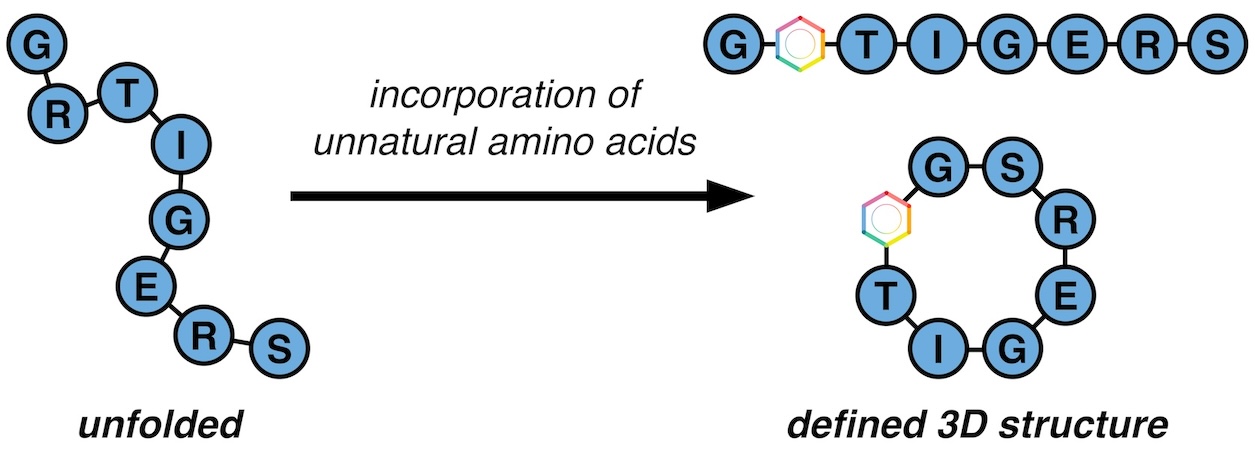 Synthetic Peptides with Enhanced Properties