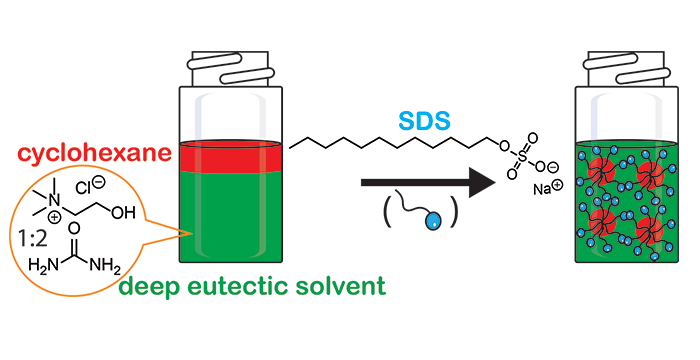 Self-aggregation of sodium dodecyl sulfate within (choline chloride + urea) deep eutectic solvent
