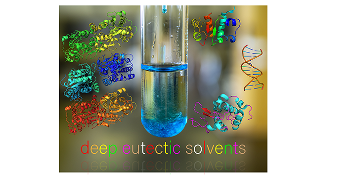 deep eutectic solvents as bio-solvents 