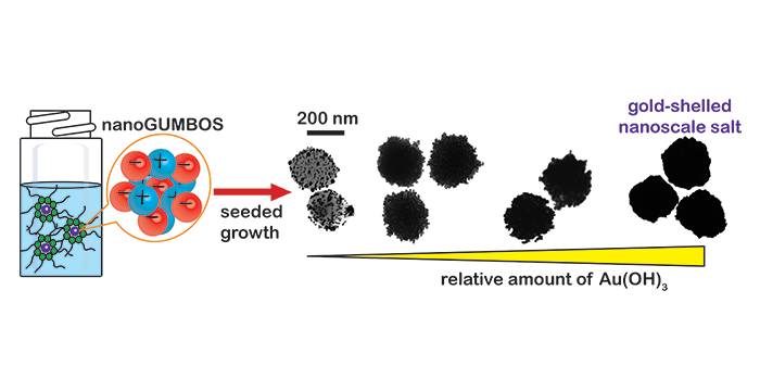 Soft- and Hard-Templated Organic Salt Nanoparticles with the Midas Touch: Gold-Shelled nanoGUMBOS