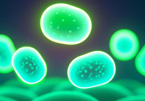 image of green cells